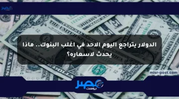 الدولار يتراجع اليوم الأحد في أغلب البنوك.. ماذا يحدث لأسعاره؟